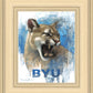 Go Cougs