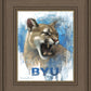 Go Cougs