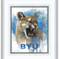 Go Cougs