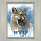 Go Cougs