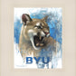 Go Cougs