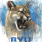 Go Cougs