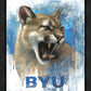 Go Cougs