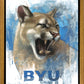 Go Cougs