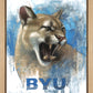 Go Cougs