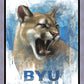 Go Cougs