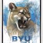 Go Cougs