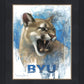 Go Cougs