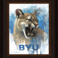 Go Cougs
