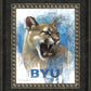 Go Cougs