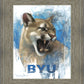 Go Cougs