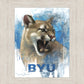 Go Cougs