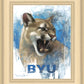 Go Cougs