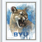 Go Cougs