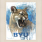 Go Cougs