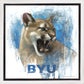 Go Cougs