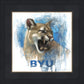 Go Cougs