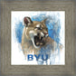 Go Cougs