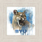 Go Cougs