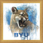 Go Cougs