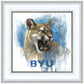 Go Cougs