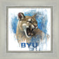 Go Cougs