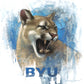 Go Cougs