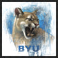 Go Cougs