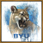 Go Cougs