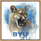 Go Cougs