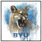 Go Cougs
