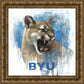 Go Cougs