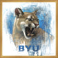 Go Cougs