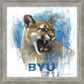 Go Cougs