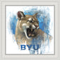 Go Cougs