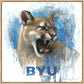 Go Cougs