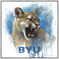 Go Cougs