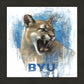 Go Cougs