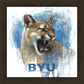 Go Cougs