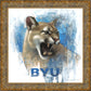 Go Cougs