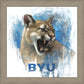 Go Cougs