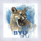 Go Cougs