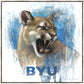 Go Cougs