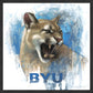 Go Cougs