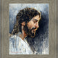Creations Without End