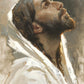 Beloved Son
