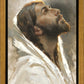 Beloved Son