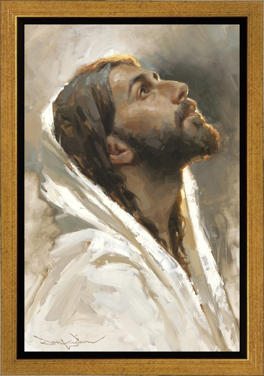 Beloved Son