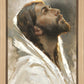 Beloved Son