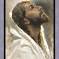 Beloved Son